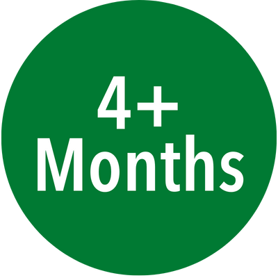 4+ Months icon
