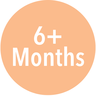 6+ Months icon