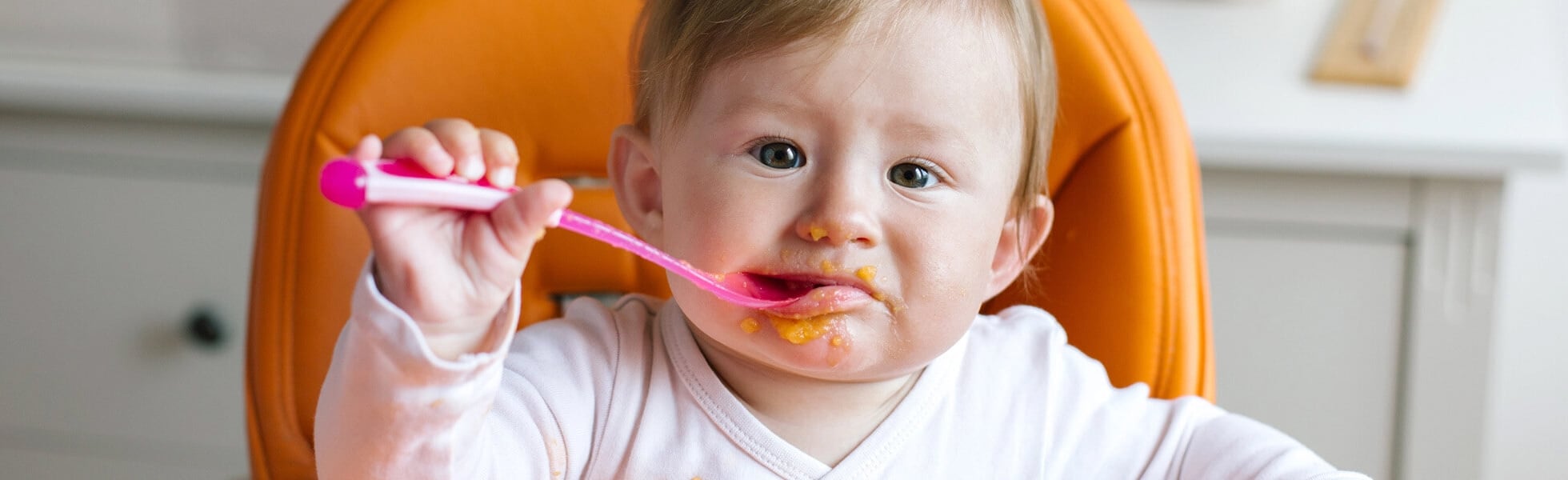Baby Puree banner