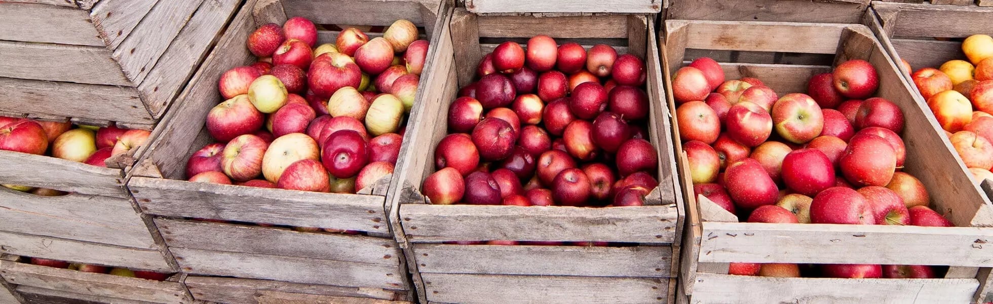 Crates of Apples
