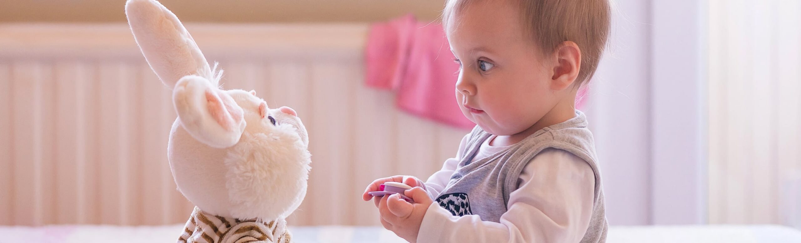 Baby's Development banner