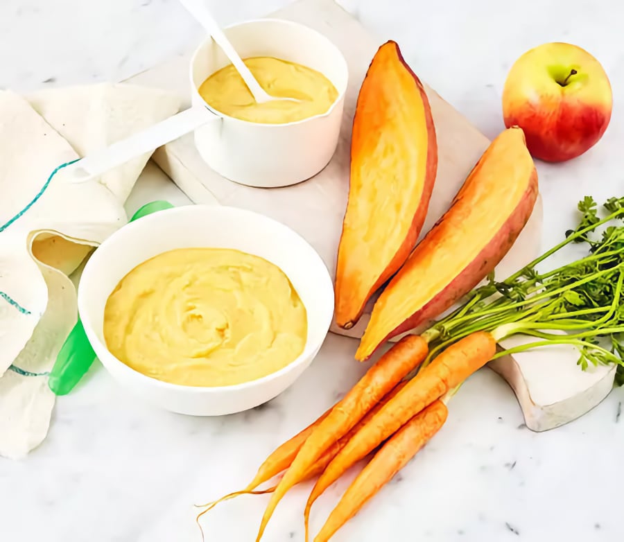 Chicken Casserole Puree