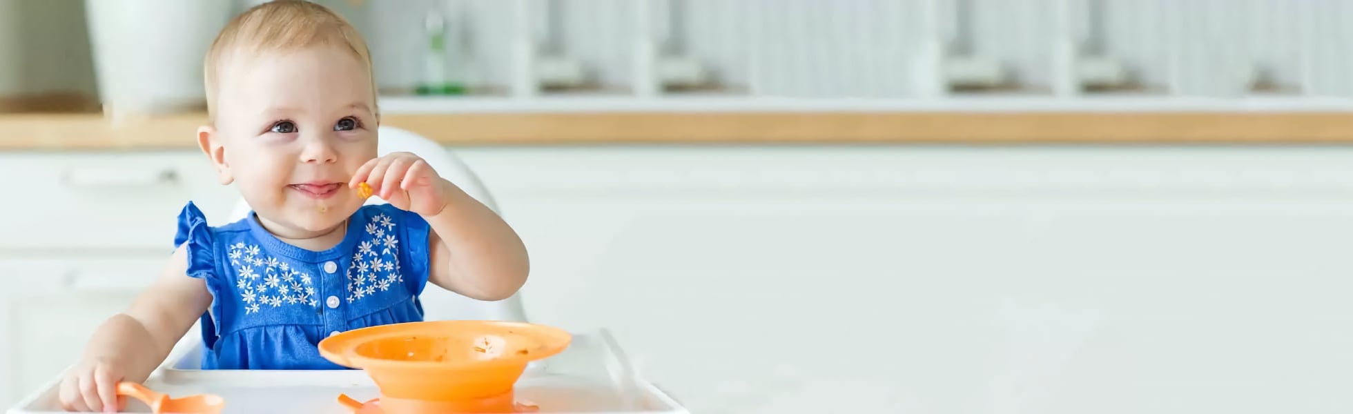 8 Month Baby Food banner